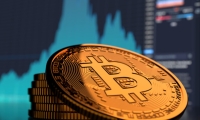 “违法！”美国12个州共同起诉特朗普政府关税政策